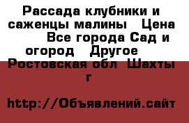 Рассада клубники и саженцы малины › Цена ­ 10 - Все города Сад и огород » Другое   . Ростовская обл.,Шахты г.